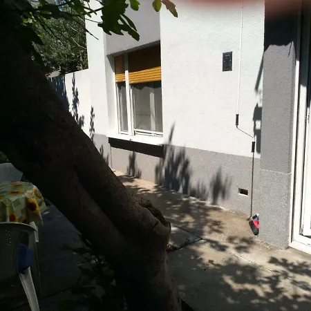 Mate Apartment